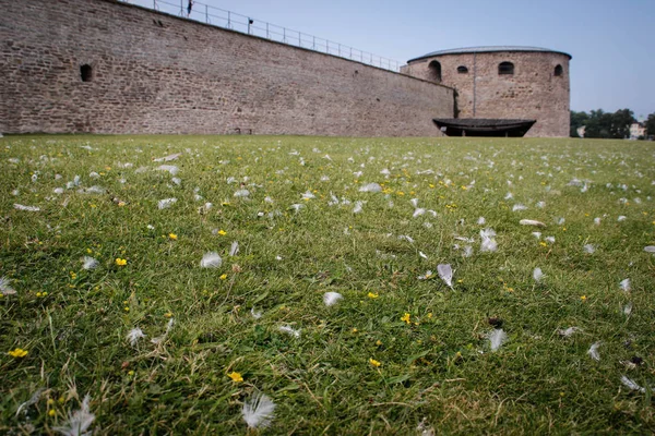 Attraction Principale Ville Est Forteresse Médiévale Kalmar Avec Des Touristes — Photo