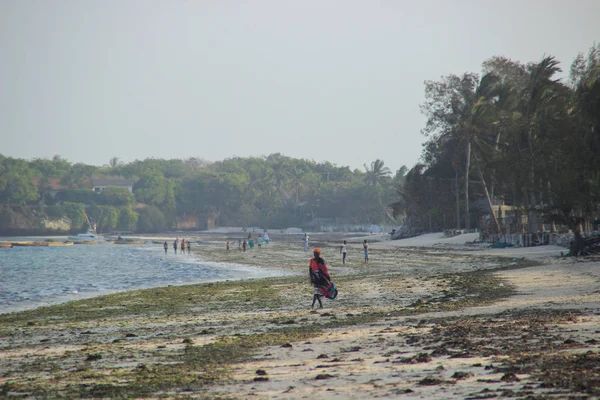 Malindi Kenia Februari 2015 Zwarte Afrikaanse Vrouw Tegen Achtergrond Van — Stockfoto