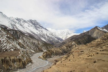 Nepal 'deki Himalayalar' ın güzel doğa manzarası. Dünyanın en yüksek yaya geçidi. Torong La, Annapurna 'nın etrafında bir yürüyüş çemberinde. Himalayaların karlı dağları.