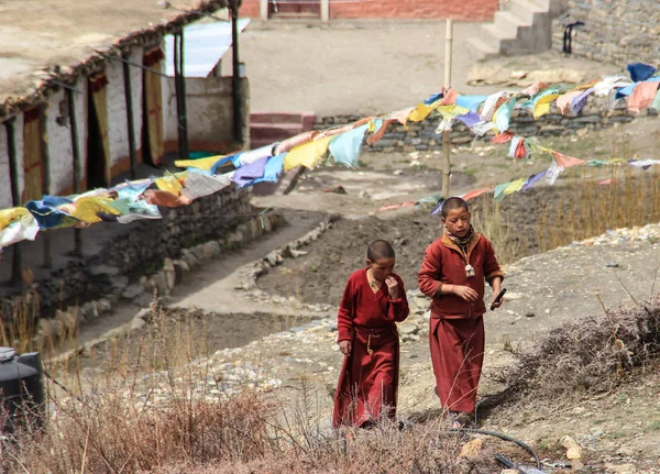 Muktinath Nepal Marzo 2014 Niños Pequeños Monjes Budistas Patio Monasterio — Foto de Stock