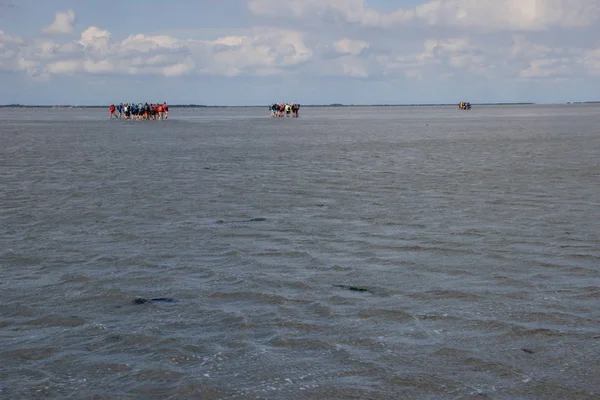 Hiking along the bottom of the sea is completely mud at low tid — Stock Photo, Image