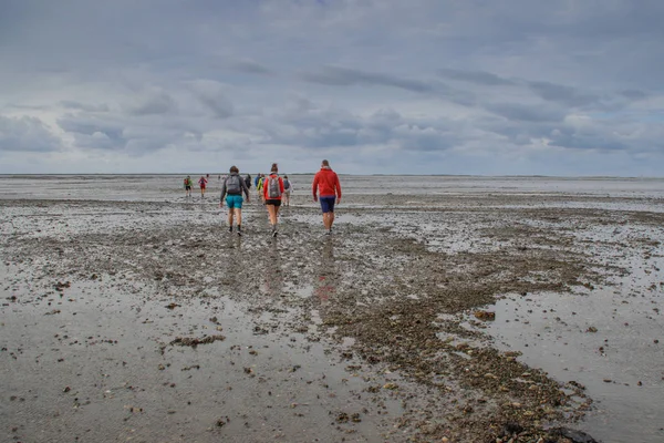  Denizin dibinde yürümek, alçak gelgitte tamamen çamurdur.
