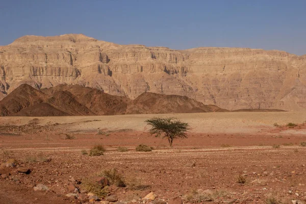 Den berömda nationalparken Timna i öknen i södra Israel — Stockfoto