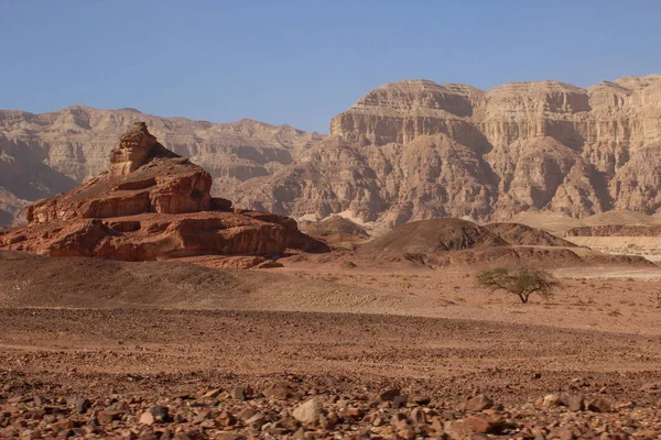 Den berömda nationalparken Timna i öknen i södra Israel — Stockfoto