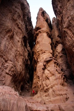 Kırmızı tişörtlü beyaz erkek gezgin arka planda poz veriyor. 
