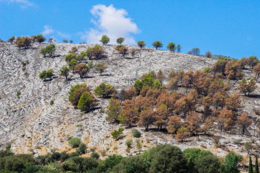 Arnavutluk 'ta yüksek tepeler ve bitki örtüsüyle güzel bir dağ manzarası - keşfedilmemiş Avrupa ülkesi.