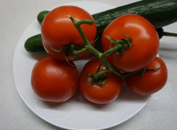 Tomates Rouges Concombres Verts Dans Une Assiette — Photo
