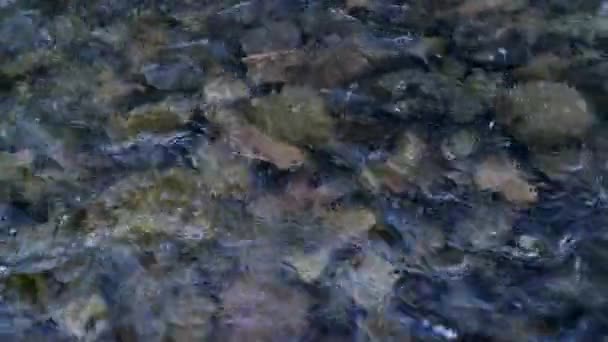 Vue du haut vers le bas de l'eau claire ondulée coulant rivière avec des roches volcaniques au fond 