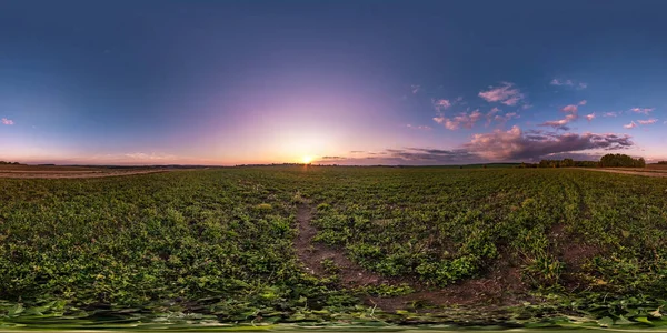 Panorama hdri esférico sin costura completa 360 grados ángulo de visión entre los campos en el atardecer de la noche de verano con nubes impresionantes en proyección equirectangular, listo para realidad virtual VR AR — Foto de Stock