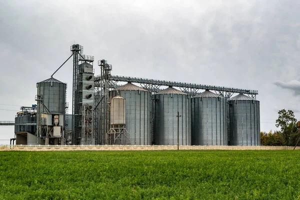 Planta agroprocesadora y manufacturera para el procesamiento y silos de plata para la limpieza de secado y almacenamiento de productos agrícolas, harina, cereales y granos. Ascensor granero — Foto de Stock