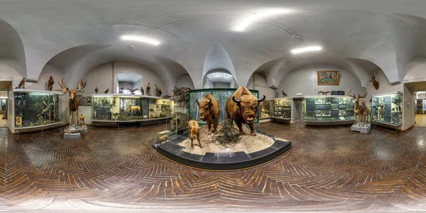 GRODNO, BELARUS - MAIO 2019: Panorama hdri sem costura esférico completo 360 graus dentro do interior da pequena sala com animais de pelúcia em projeção equiretangular, conteúdo VR AR — Fotografia de Stock