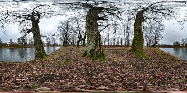 full seamless spherical hdri panorama 360 degrees angle view on pedestrian walking path among oak grove with clumsy branches near lake in equirectangular projection with zenith, ready VR AR content