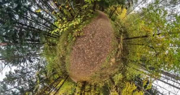 Uzayın Kıvrımlı Küçük Bir Gezegen Dönüşümü Sonbahar Ormanlarında Soyut Dönüş — Stok video