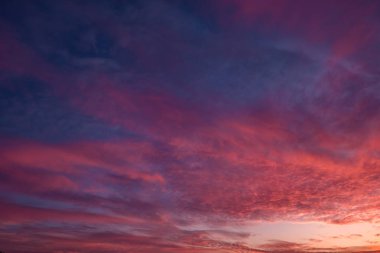 Akşam kabarık kıvırcık haddeleme cirrostratus bulutlar ile Mavi mor kırmızı günbatımı gökyüzü arka plan. İyi rüzgarlı hava