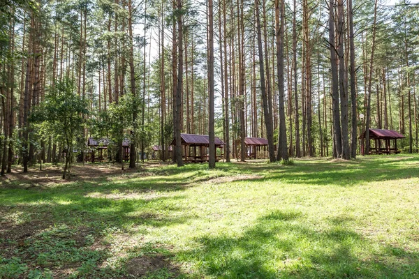 Houten Camping Arbors met alle conviniences in een dennenbos — Stockfoto