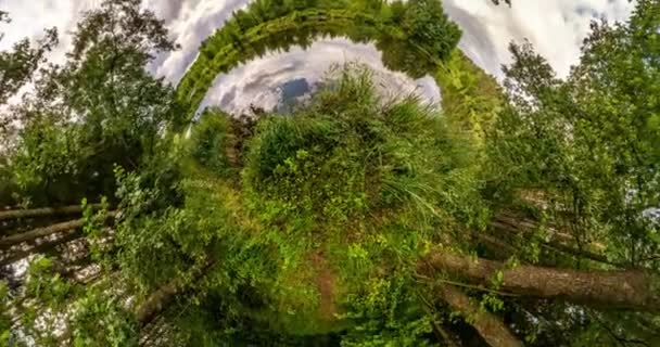 Uzayın Kıvrımlı Küçük Bir Gezegen Dönüşümü Nehir Kıyısındaki Yaz Ormanında — Stok video