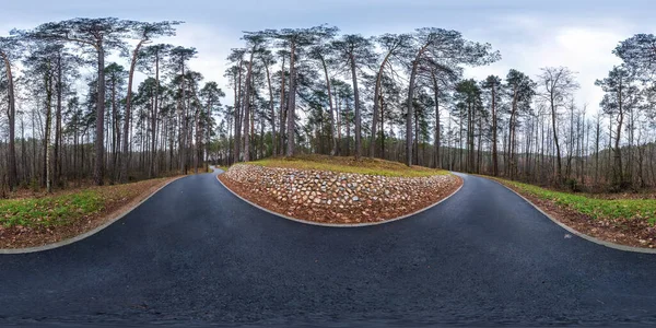 Full spherical hdri panorama 360 degrees angle view on asphalt pedestrian footpath and bicycle lane path in pinery forest in overcast weather in equirectangular projection. VR AR content — Stock Photo, Image