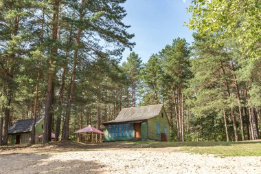 bir çam ormanında tüm conviniences ile ahşap kamp çardaklar