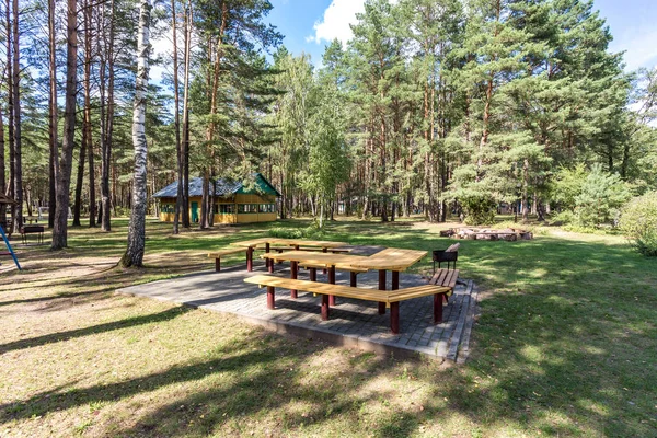 Campings de madera con todas las comodidades en un bosque de pinos — Foto de Stock