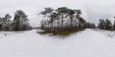 Kış tam küresel hdri panorama 360 derecelik açıyla karlı, soluk gökyüzü eş dikdörtgen projeksiyonla kaplı bir çam ormanında yol. Vr Ar içeriği