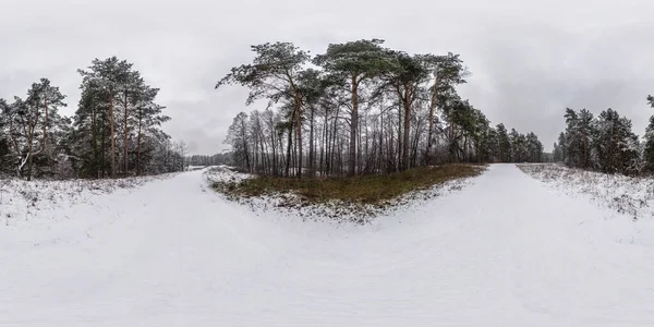 Kış tam küresel hdri panorama 360 derecelik açıyla karlı, soluk gökyüzü eş dikdörtgen projeksiyonla kaplı bir çam ormanında yol. Vr Ar içeriği