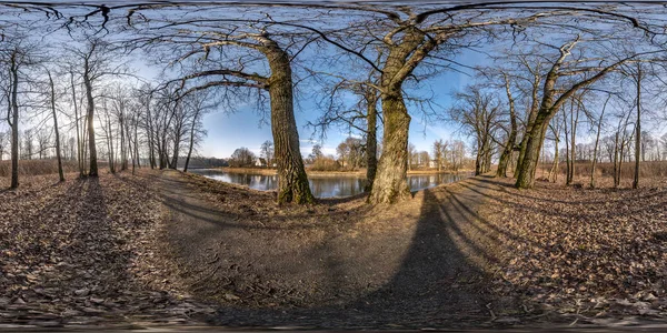 full seamless spherical hdri panorama 360 degrees angle view on pedestrian walking path among oak grove with clumsy branches near lake in equirectangular projection with , ready VR AR content