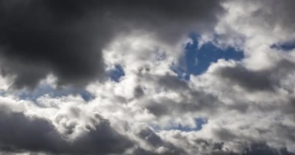 Timelapse Clip Van Verschillende Pluizige Krullend Rollende Wolk Lagen Winderig — Stockvideo