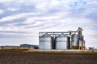 Granary asansörü. tarım ürünleri, un, tahıl ve tahıl ürünlerinin kurutulması ve depolanması için tarım işleme ve imalat tesisi ve gümüş siloları. 