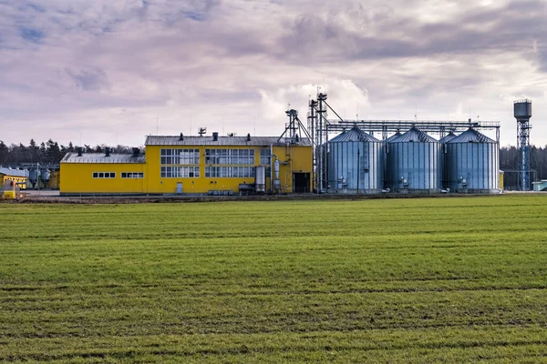 Agrar Verarbeitungs Und Produktionsanlage Zur Verarbeitung Und Silbersilos Zum Trocknen — Stockfoto