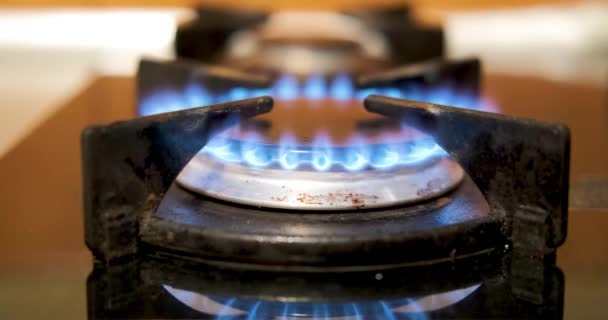 Синій Вогонь Газової Плити Чорному Тлі Кухонний Конфорка Вмикається Запалення — стокове відео
