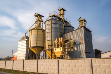 Tarımsal ürünlerin, unun, tahılın ve tahılın temizlenmesi ve depolanması için tarım işleme ve imalat tesisi ve gümüş siloları. Granary asansörü. 