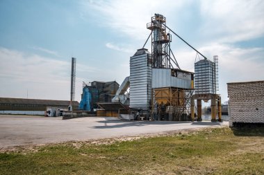 Tarımsal ürünlerin, unun, tahılın ve tahılın temizlenmesi ve depolanması için tarım işleme ve imalat tesisi ve gümüş siloları. Granary asansörü. 