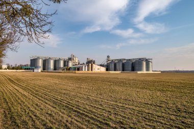 Tarımsal ürünlerin, unun, tahılın ve tahılın temizlenmesi ve depolanması için tarım işleme ve imalat tesisi ve gümüş siloları. Granary asansörü. 