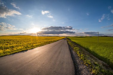 Kırsal yol ve güzel bulut ile güneş batmadan önce mavi gökyüzü ile kolza tohumu güzel bahar altın çiçek arazi, kolza yeşil sanayi için bitki 