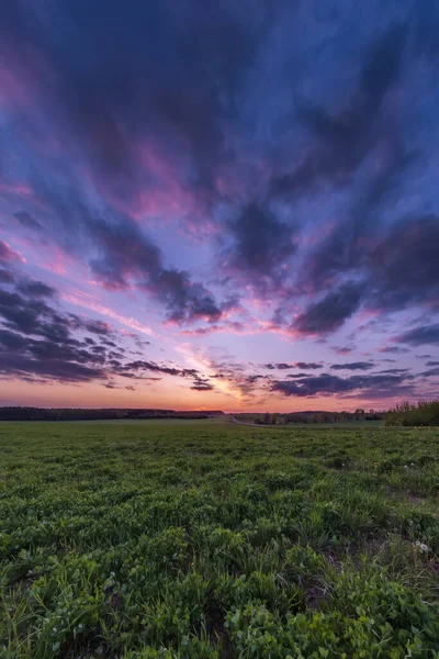 Κάθετο Τοπίο Του Πράσινου Πεδίου Μπλε Κόκκινο Ροζ Ουρανό Βράδυ — Φωτογραφία Αρχείου