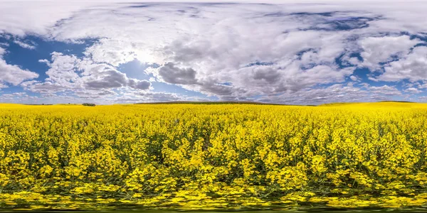 春の空の春の日の菜の花畑の間で360度のパノラマの完全なシームレスな球状のHdriパノラマ Ar仮想現実コンテンツの準備ができている等角投影で — ストック写真