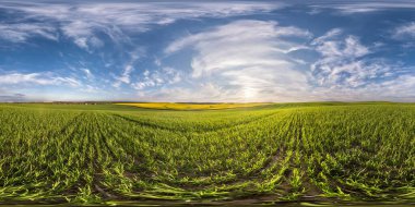 full seamless spherical hdri panorama 360 degrees angle view on among fields in spring evening with awesome clouds in equirectangular projection, ready for VR AR virtual reality content clipart