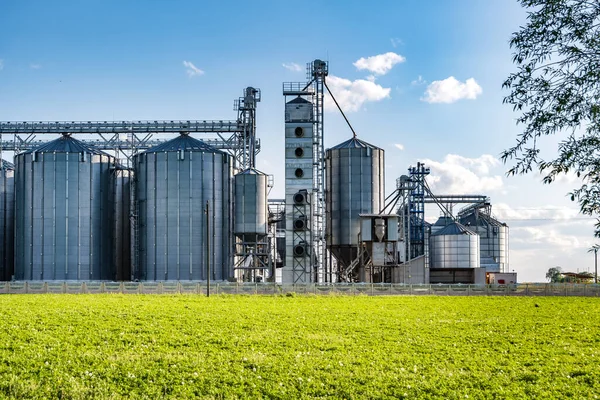 Planta Agroprocesadora Manufacturera Para Procesamiento Silos Plata Para Limpieza Secado —  Fotos de Stock