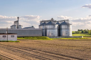 Tarımsal ürünlerin, unun, tahılın ve tahılın temizlenmesi ve depolanması için tarım işleme ve imalat tesisi ve gümüş siloları. Granary asansörü. 