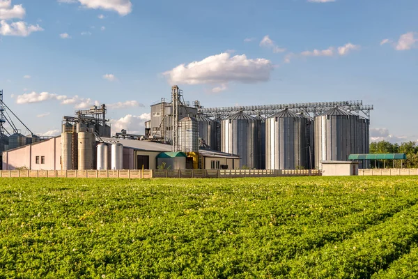 Planta Agroprocesadora Manufacturera Para Procesamiento Silos Plata Para Limpieza Secado — Foto de Stock