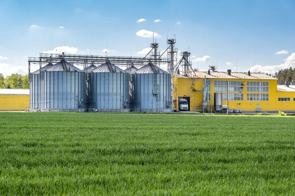 Agrar Verarbeitungs Und Produktionsanlage Zur Verarbeitung Und Silbersilos Zum Trocknen — Stockfoto