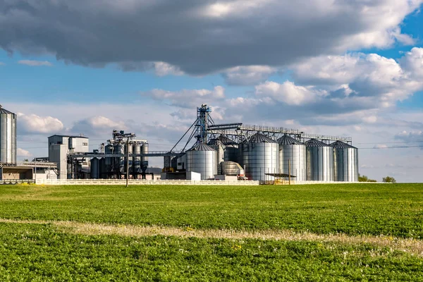 Getreidespeicheraufzug Auf Einer Landwirtschaftlichen Verarbeitungs Und Produktionsanlage Zur Verarbeitung Und — Stockfoto