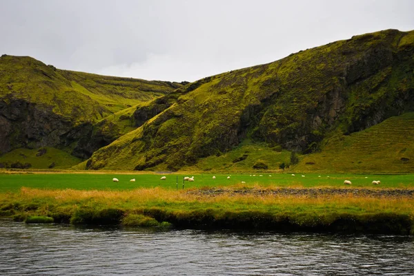 Ландшафт Исландии осенью Стоковое Фото