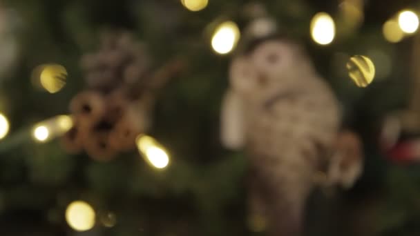 Humor Navidad Regalos Bajo Árbol — Vídeo de stock