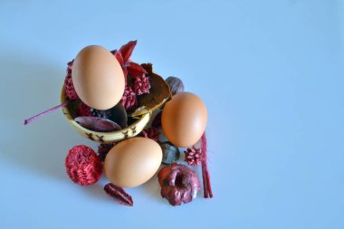 yumurta, yakın çekim