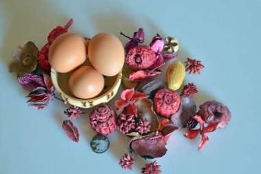 yumurta, yakın çekim