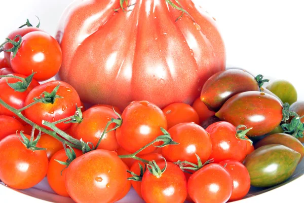 Berbagai tomat. — Stok Foto