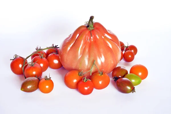 Сорт помидоров — стоковое фото