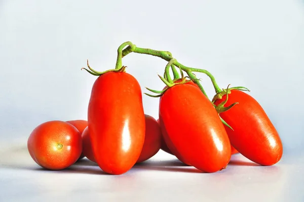 Domates San Marzano, Campania, İtalya