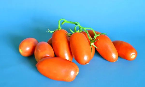 Tomat San Marzano, Campania, italy — Stok Foto